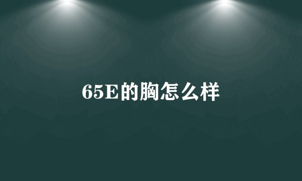 65E的胸怎么样
