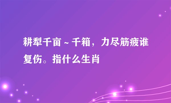 耕犁千亩～千箱，力尽筋疲谁复伤。指什么生肖