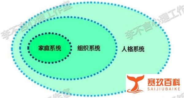 改变和不改变，都是自己的责任和权利：系统咨询与系统排列的不同