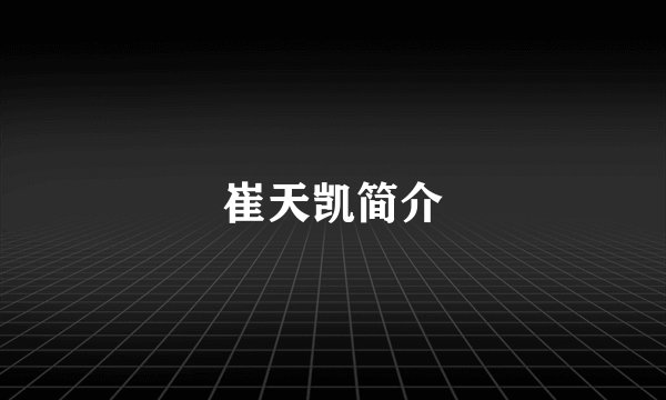 崔天凯简介