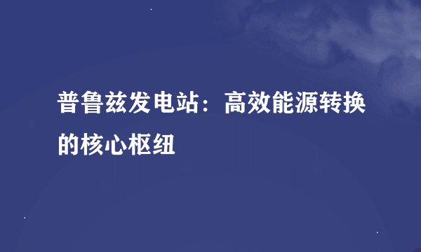 普鲁兹发电站：高效能源转换的核心枢纽
