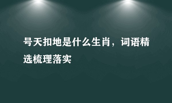 号天扣地是什么生肖，词语精选梳理落实