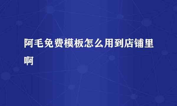 阿毛免费模板怎么用到店铺里啊