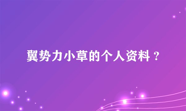 翼势力小草的个人资料 ?