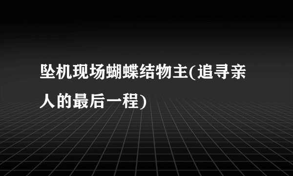 坠机现场蝴蝶结物主(追寻亲人的最后一程)
