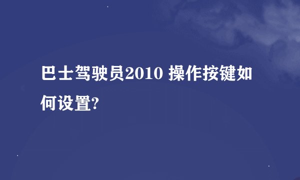 巴士驾驶员2010 操作按键如何设置?