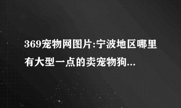 369宠物网图片:宁波地区哪里有大型一点的卖宠物狗的集市？