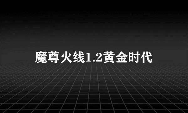 魔尊火线1.2黄金时代
