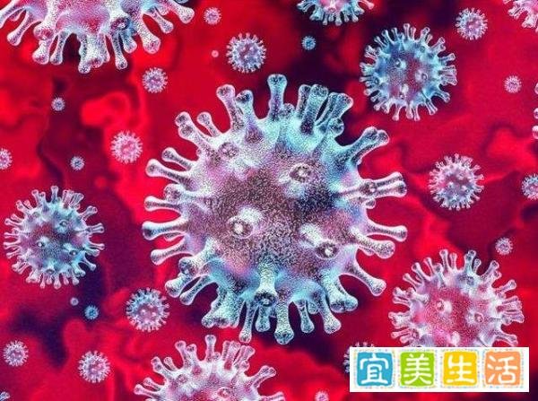 日本发现新型变异新冠病毒 专家：不同于英国及南非发现的变种
