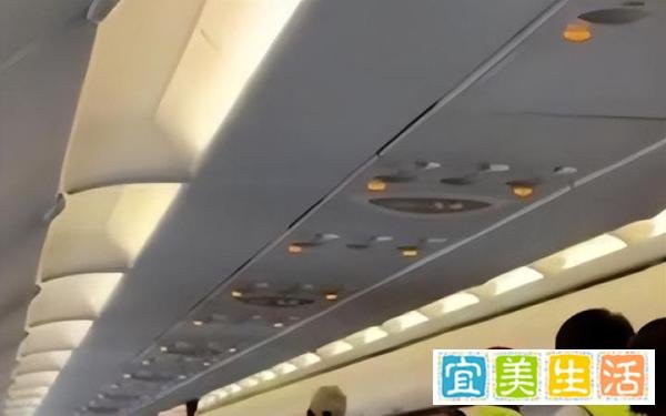 离谱!航班起飞前,男子要求飞机掉头取行李,网友:真泰囧!