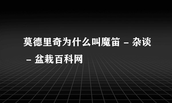 莫德里奇为什么叫魔笛 - 杂谈 - 盆栽百科网