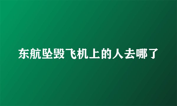 东航坠毁飞机上的人去哪了