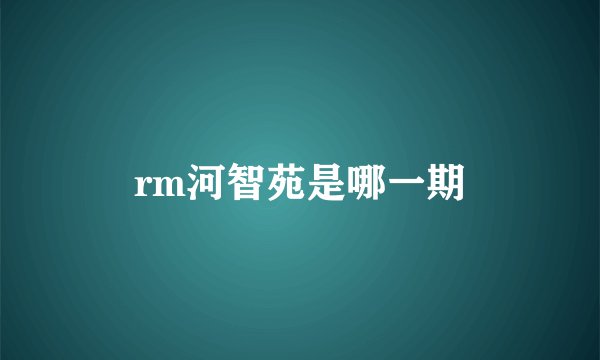rm河智苑是哪一期