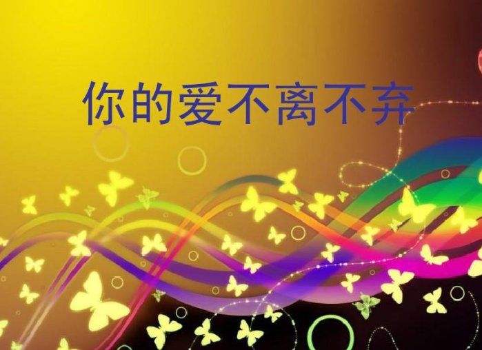 你的爱不离不弃歌词歌谱