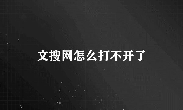 文搜网怎么打不开了