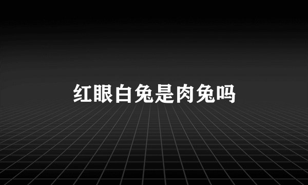 红眼白兔是肉兔吗
