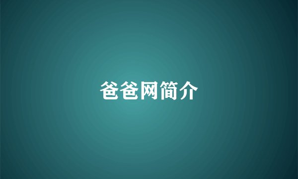 爸爸网简介