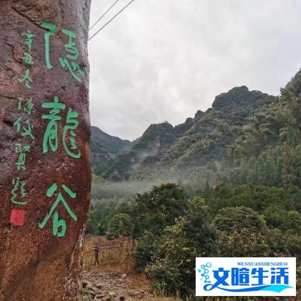 一级书法师——陈俊贤
