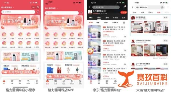 董明珠的店营销策略调研