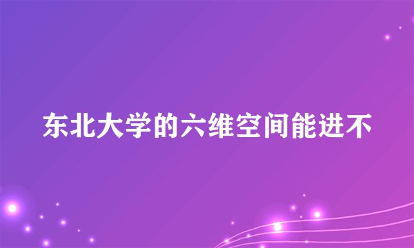 东北大学的六维空间能进不