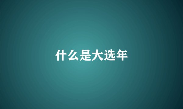 什么是大选年