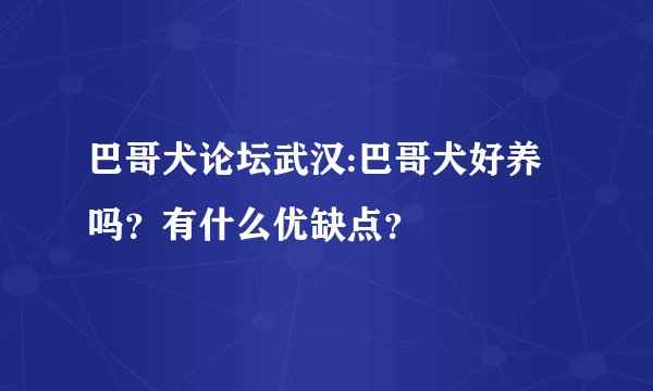 巴哥犬论坛武汉:巴哥犬好养吗？有什么优缺点？