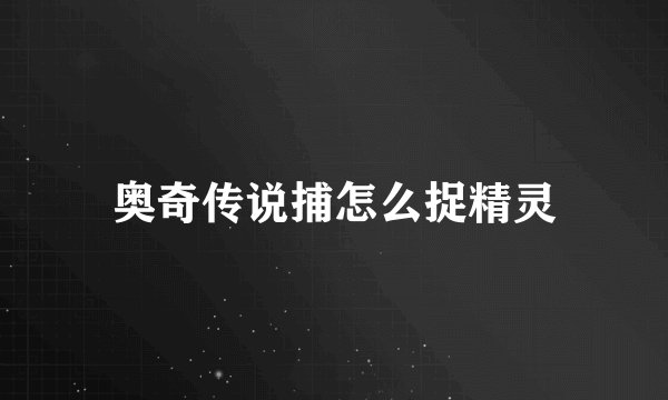 奥奇传说捕怎么捉精灵
