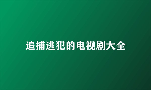 追捕逃犯的电视剧大全
