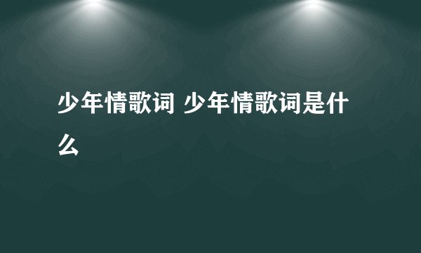 少年情歌词 少年情歌词是什么