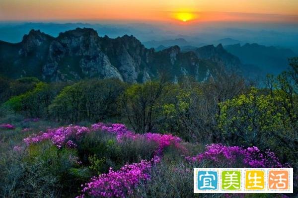 常被忽视的相机“景深预览”功能,你会用吗?