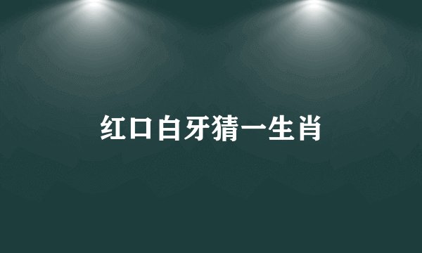 红口白牙猜一生肖