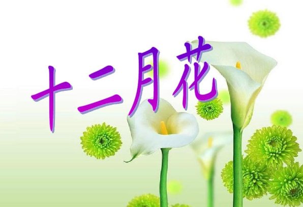 新版《十二个月花》歌谣内容是什么？