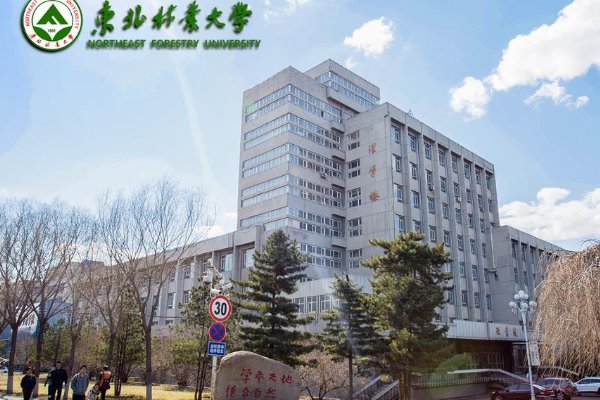 2023东北林大录取分数线