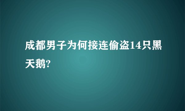 成都男子为何接连偷盗14只黑天鹅?