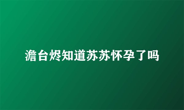 澹台烬知道苏苏怀孕了吗