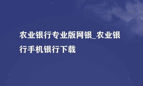 农业银行专业版网银_农业银行手机银行下载