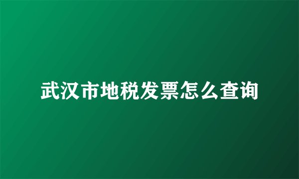 武汉市地税发票怎么查询