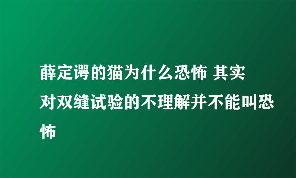 薛定谔的猫为什么恐怖 其实对双缝试验的不理解并不能叫恐怖