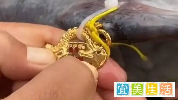 3人花394万买8000条鱼开赌场获刑，5小时票价两千六