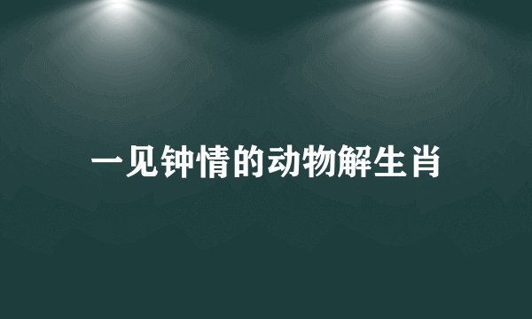 一见钟情的动物解生肖