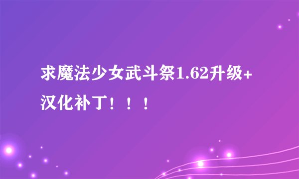 求魔法少女武斗祭1.62升级+汉化补丁！！！