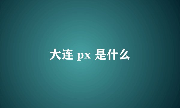 大连 px 是什么