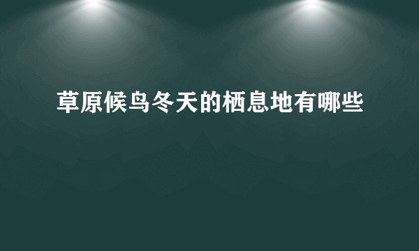 草原候鸟冬天的栖息地有哪些
