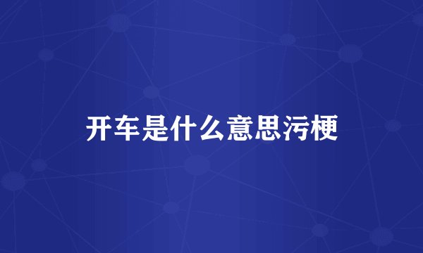 开车是什么意思污梗
