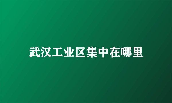 武汉工业区集中在哪里