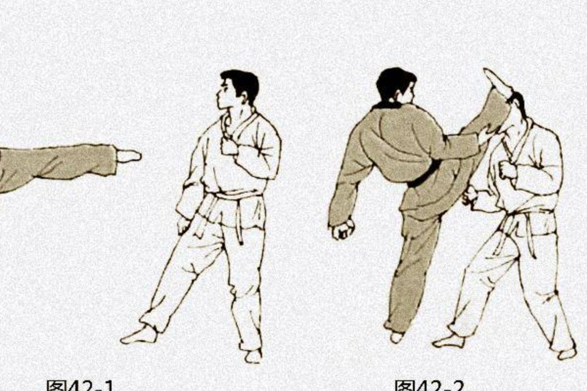 48招插图教程图