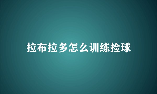 拉布拉多怎么训练捡球