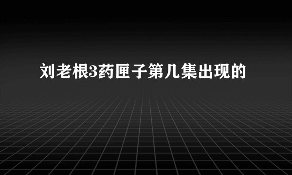 刘老根3药匣子第几集出现的