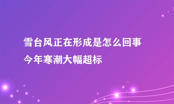 雪台风正在形成是怎么回事 今年寒潮大幅超标