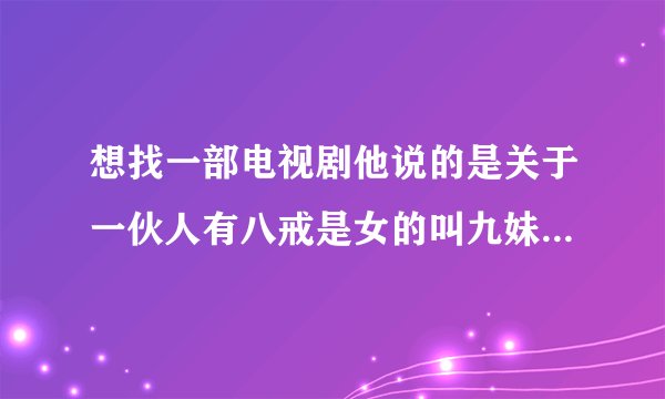想找一部电视剧他说的是关于一伙人有八戒是女的叫九妹还有悟空沙僧一起刷怪升级